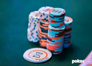 Chips 100k